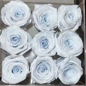 9x Preserved Roses Decor